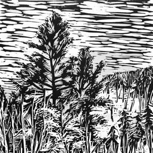 Block Prints